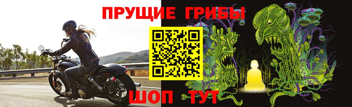 Галлюциногенные грибы GOLDEN TEACHER Медногорск