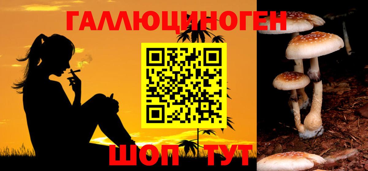 Псилоцибиновые грибы Magic Shrooms  Галлюциногенные грибы прущие грибы  Медногорск 